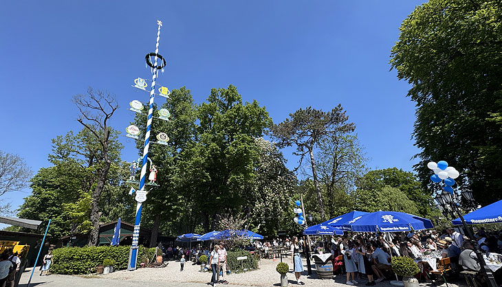 schließlich stand er: Maibaum aufstellen am 01.05.2025 im Augustiner Schützengarten in München-Obersendling (©Foto: Martin Schmitz)